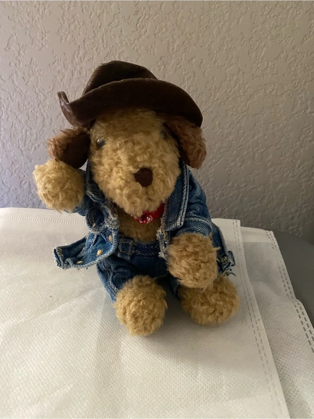 Old Navy Plush Toy Dog Cowboy Hat Jeans Jacket 6 Inch Branie Curly Hair Puppy
